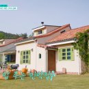 노닐다민박 네이버블로그