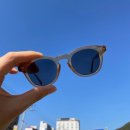 안경 봄 이미지