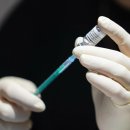 독일 대형병원 원장 자살, 코로나 백신은 대량학살이다. 이미지