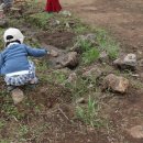 이든목장 이미지