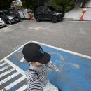 (주)폴라스 네이버블로그