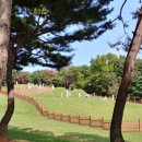 능곡시장 이미지