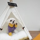 아산스테이 이미지