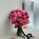 에덴셀프 이미지