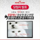 사료는 똑똑해야 한다! 로얄캐닌 국내 첫 광고런칭 동네방네 소문내기 이벤트