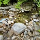 소백산 자락길 | [다니에르 여행] 영주여행 죽계구곡 초암사 삼판서 고택 관사골 백화마을 소백산자락길1코스 후기