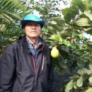 현지농장 이미지