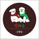 펫시안