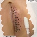 수원-1781 이미지