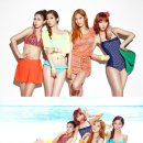 다희 Daum카페