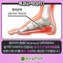 큰숲한의원 이미지