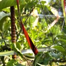 송악면 송악로 이미지