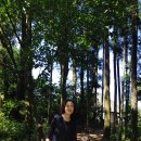 통나무파크 이미지