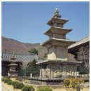 지금은 동(東)의  이미지