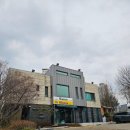 파충류샵 렙타일스테이션 | 용인) 용인 도마뱀샵 추천 │도마뱀자리X비바렙타일 파충류샵 후기