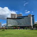 계룡애견 | 대전 계룡스파텔 공원 추천 및 후기 애견가능