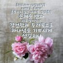 두리농원 이미지