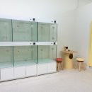 달달한 고양이 이미지