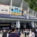 세븐일레븐 마사회구리4층점 | 사직야구장/ 롯데자이언츠 중앙상단석 상세 이용후기 (자이언트샵 유니폼 , 음식 포장)