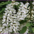 그리드제주 이미지