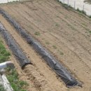 풍요의 정원 이미지