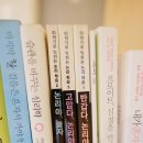 체리빈