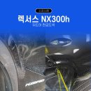 발전자동차공업사 | 일산 렉서스 수리 맡기기 전 꼭 보세요, NX300h 도어 복원 실제 작업 후기 / 일산판금도색 BM모터스
