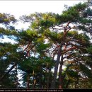 문장대 야영장 이미지