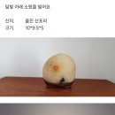 산포리