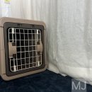 모글리하우스 이미지