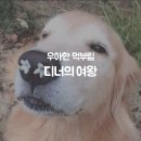 여왕상회