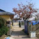 호미배수장 이미지