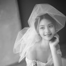 레젤