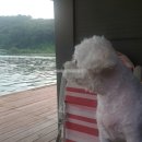 도덕골낚시터 이미지