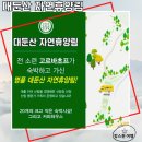 진산자연휴양림캠핑장 이미지