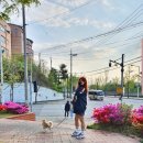 구감할머니 이미지