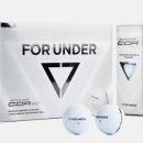 언더로 골프존 이미지