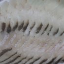 영해회식당