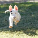 두타동물병원 이미지