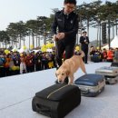 양산배내골 사과정보화마을 이미지