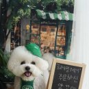 트레밍MM 이미지