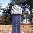 장영실로 Daum카페