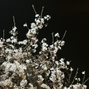 불암동체육관 화장실 이미지