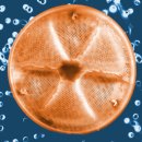 현미경으로 본 생명의 신비-물 위의 방랑자 플랑크톤 이미지