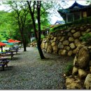 시인의정원펜션 이미지