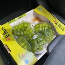 늘푸름마켓 이미지