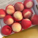 에덴농장 2 이미지