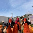 해밀목장 이미지