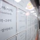 삶의터전
