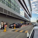 정평수산 | 노량진수산시장 생새우회 지금 먹어야할 타이밍